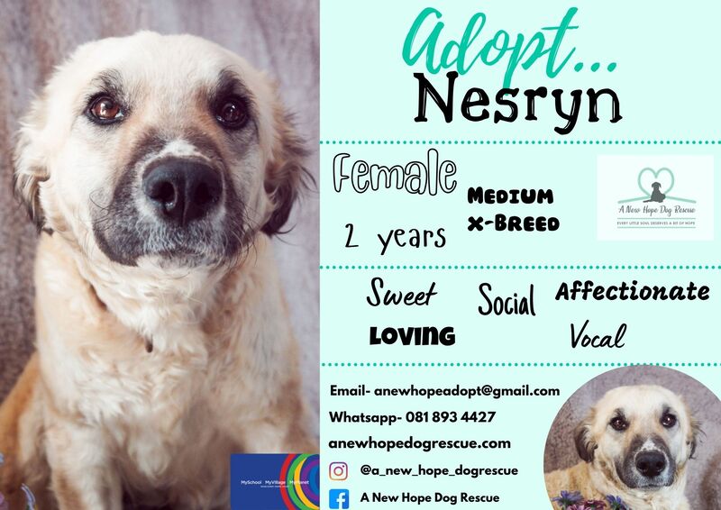 Adoptions Available - A NEW HOPE DOG RESCUE - SOUTH AFRICA